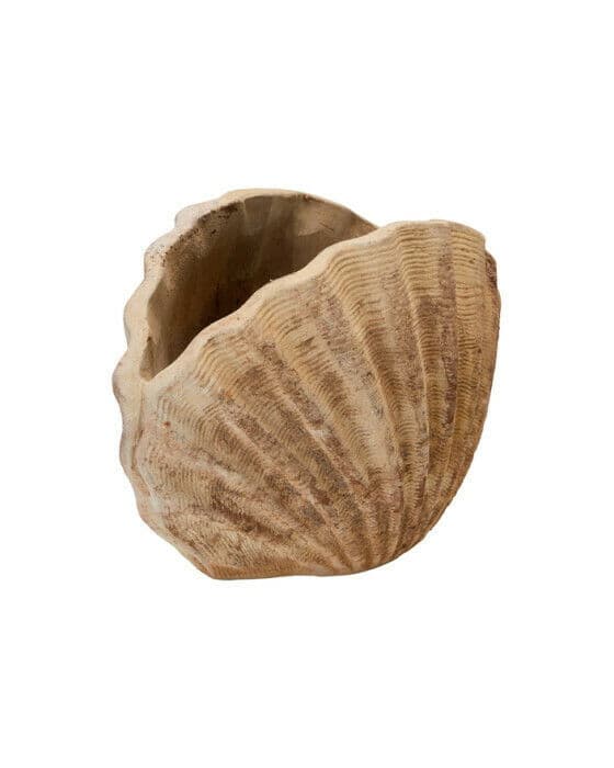 Snäcka kruka antik terrakotta