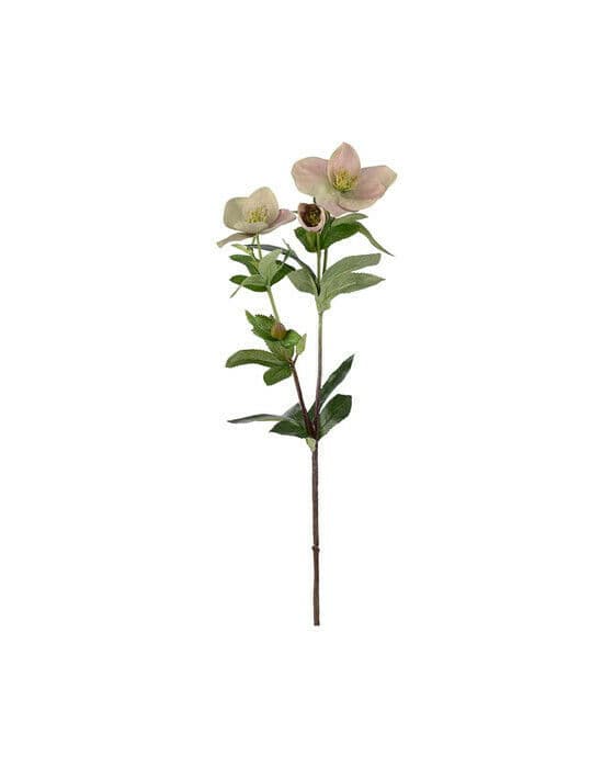 Julros snittblomma rosa