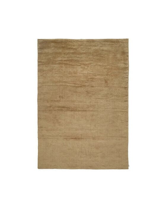 Dune matta wheat