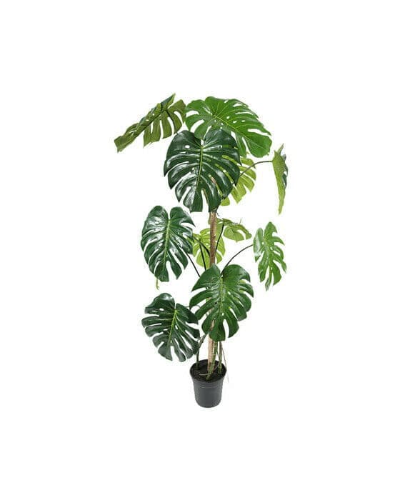 Monstera konstväxt grön
