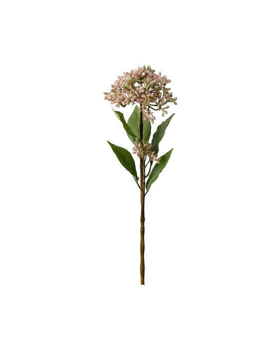 Bärkvist snittblomma mörkrosa