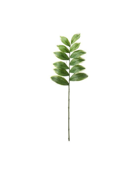 Bladkvist snittblomma grön