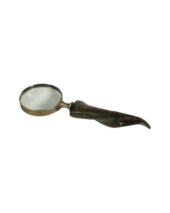 Horn förstoringsglas antik mässing