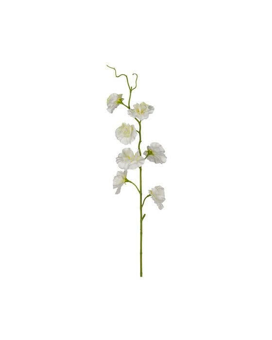 Luktärt snittblomma vit