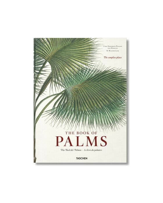 The Book of Palms