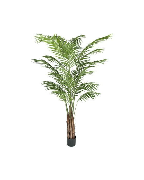 Areca Palm konstväxt grön