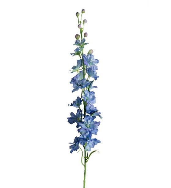 Delphinium snittblomma blå