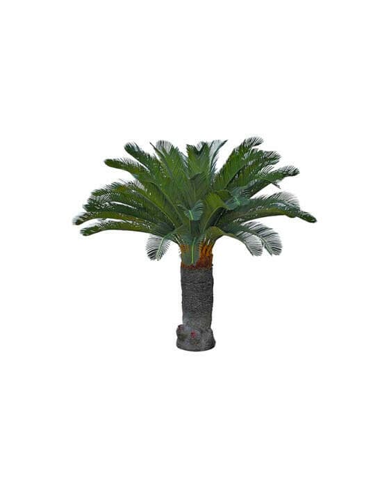 Cycas palm konstträd grön