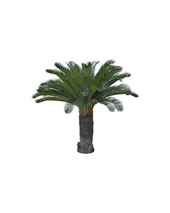 Cycas palm konstträd grön