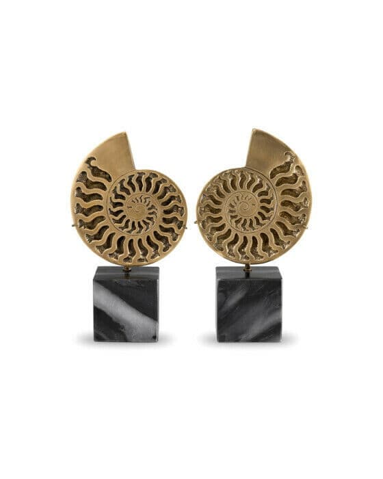 Ammonite dekoration vintage mässing 2-set