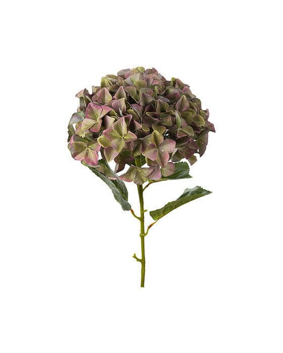 Hortensia snittblomma lila