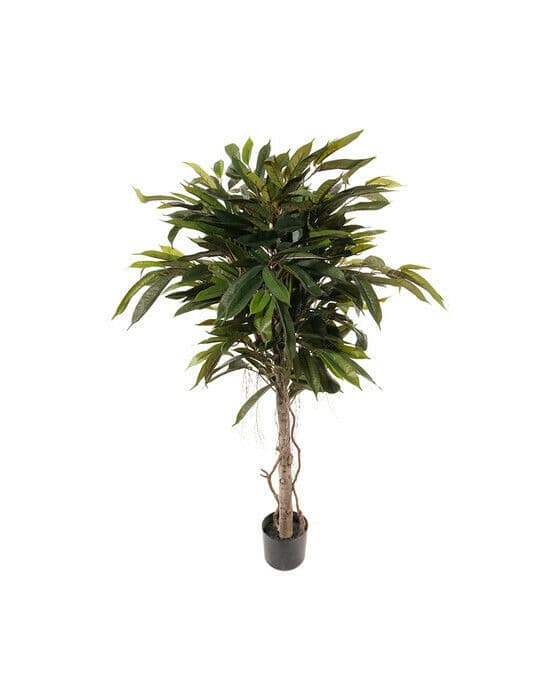 Longifolia konstträd grön