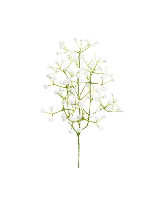 Brudslöja snittblomma vit