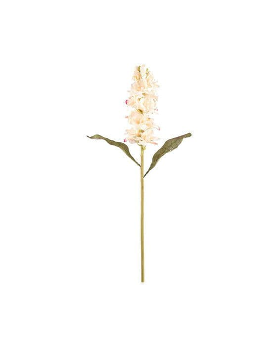 Lövkoja snittblomma cream