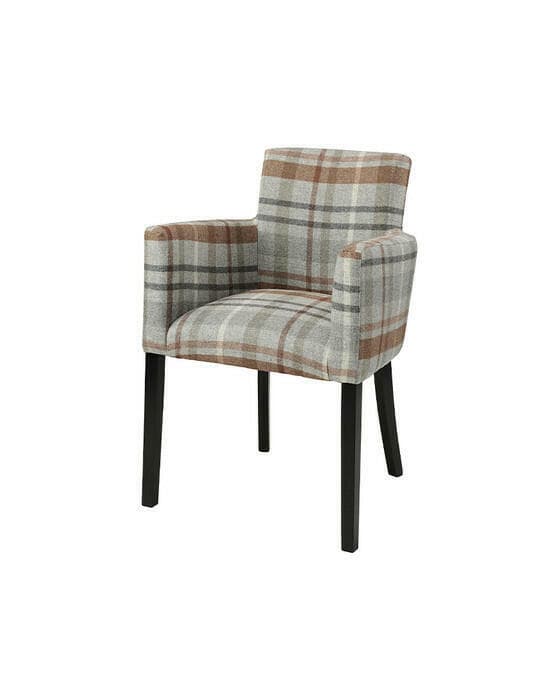 Ashley karmstol miles plaid grey