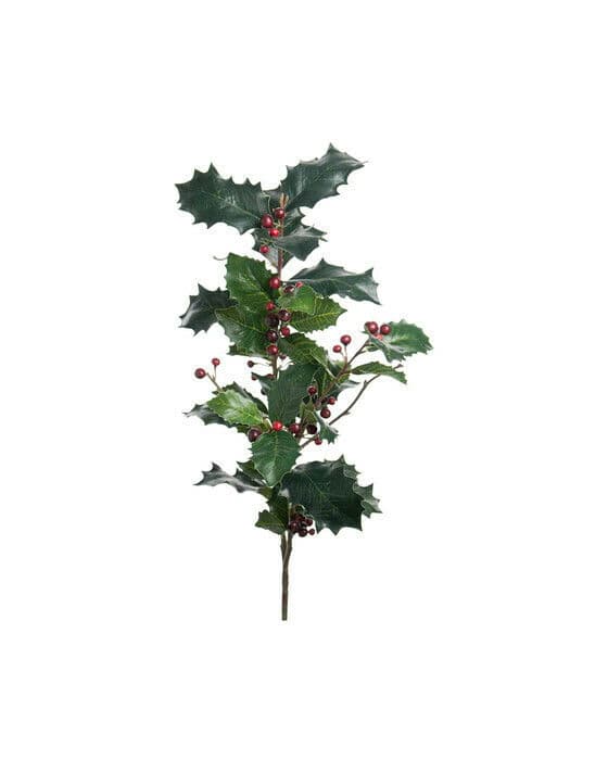 Järnek snittblomma grön/röd 85cm
