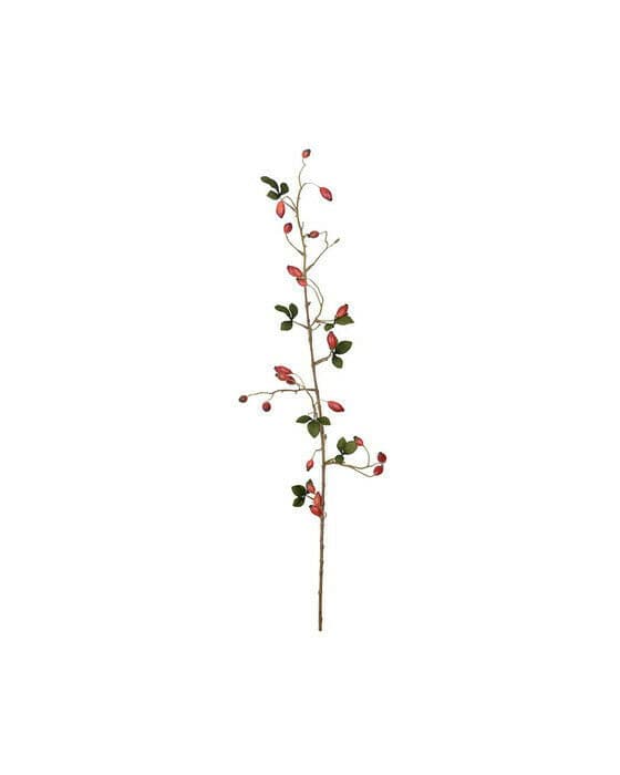 Nypon snittblomma röd