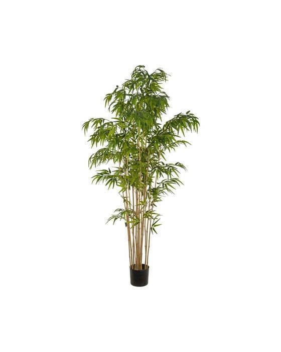 Bambu konstväxt grön