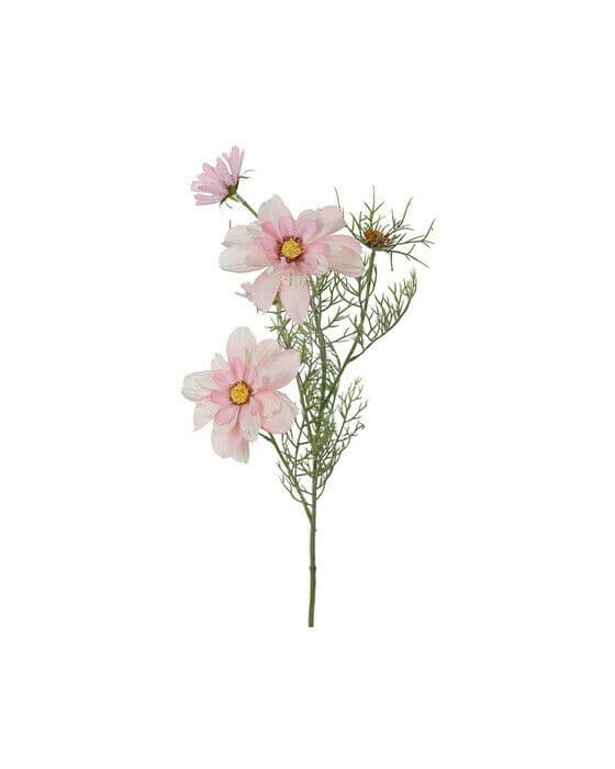 Rosenskära snittblomma rosa