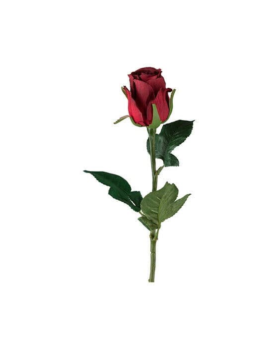 Ros snittblomma röd