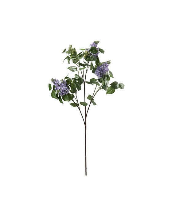 Syrénkvist snittblomma blå