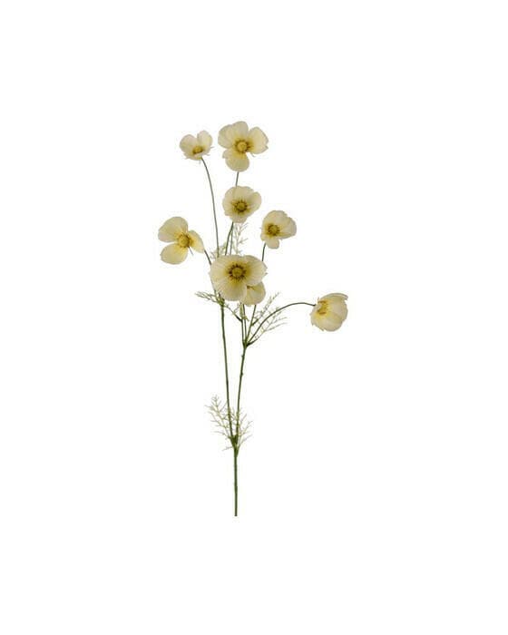 Rosenskära snittblomma gul