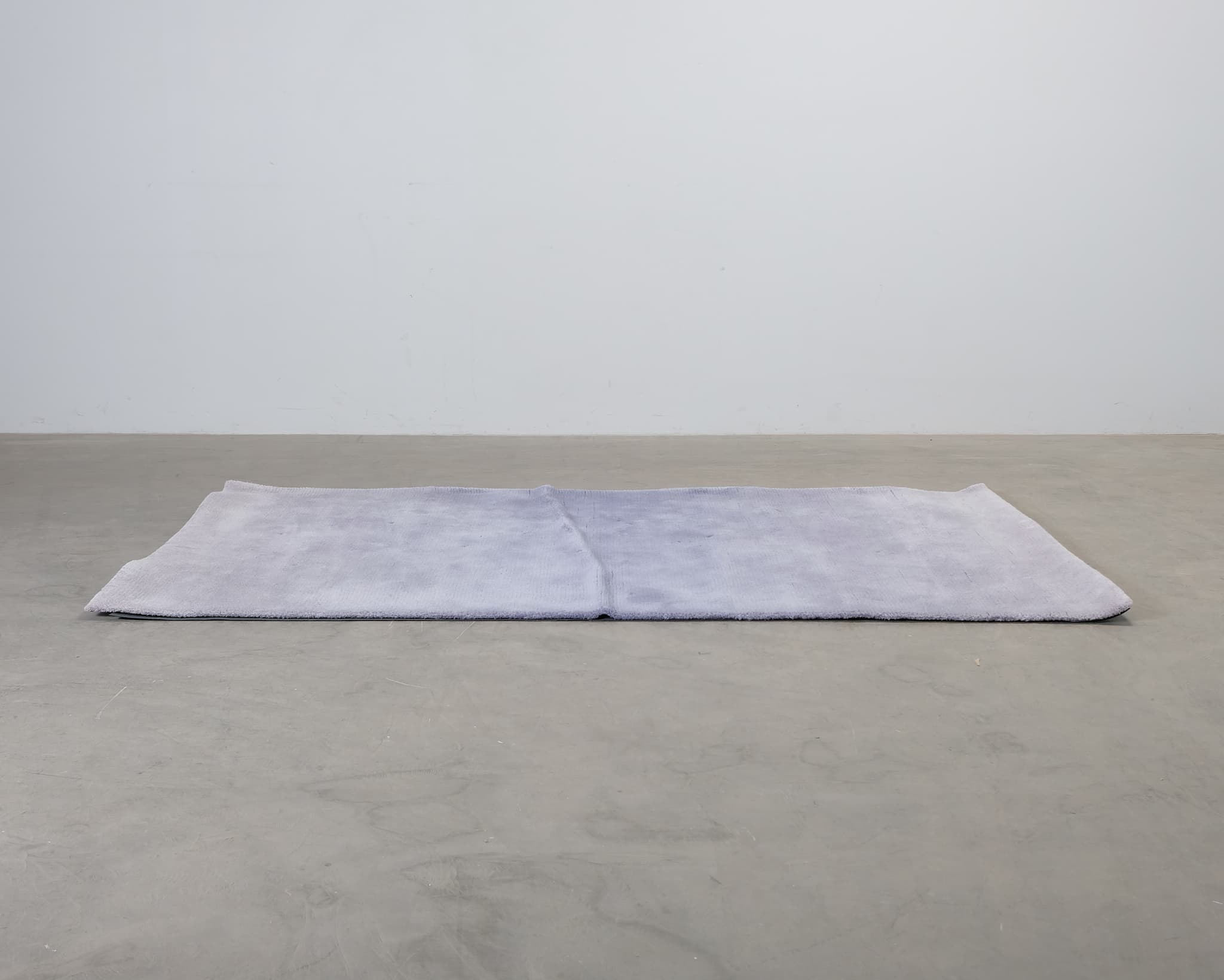 CS Rugs Cameleon ullmatta 170 x 280 cm lavendel