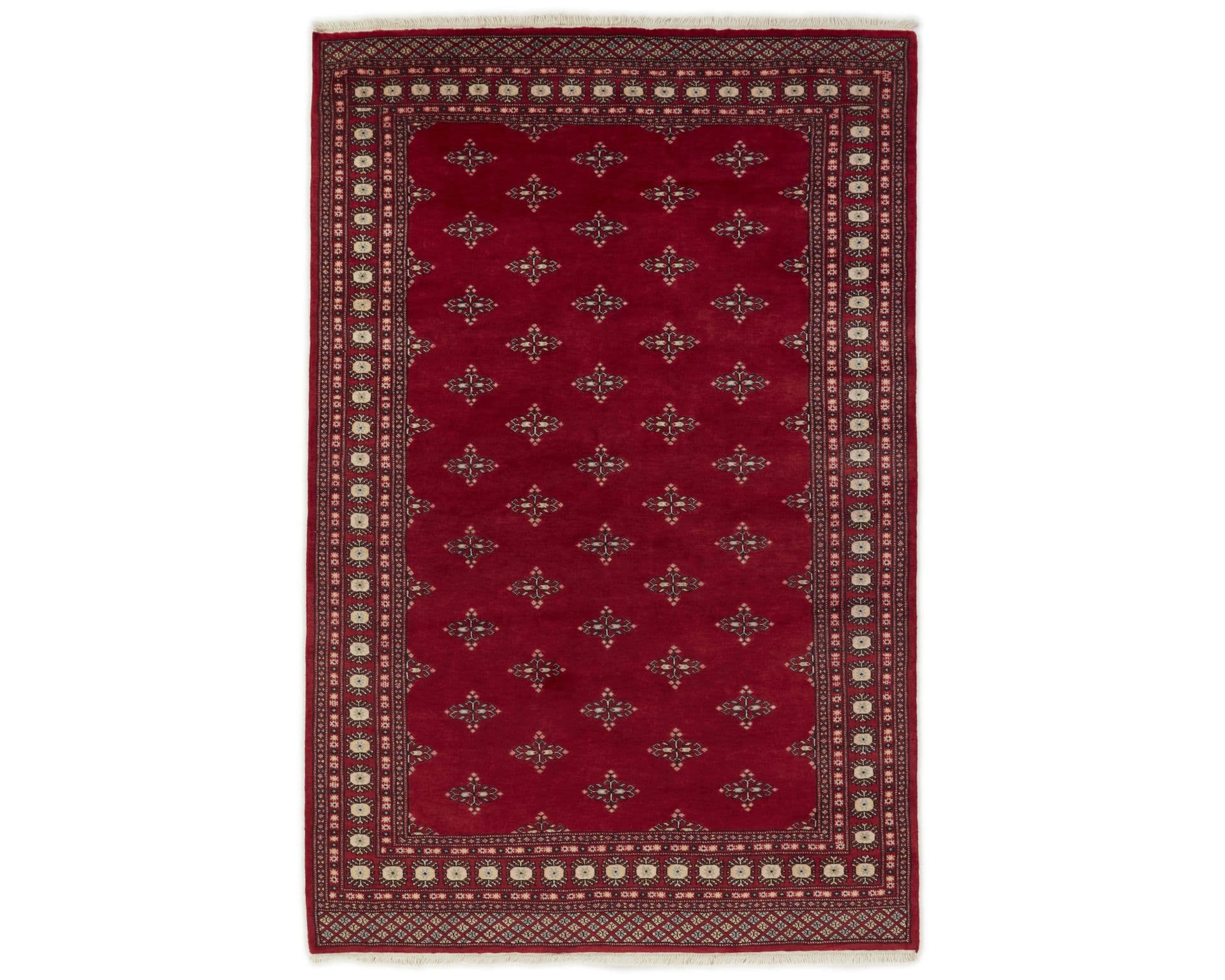 Pakistan handknotted orientalisk matta 170 x 254 cm
