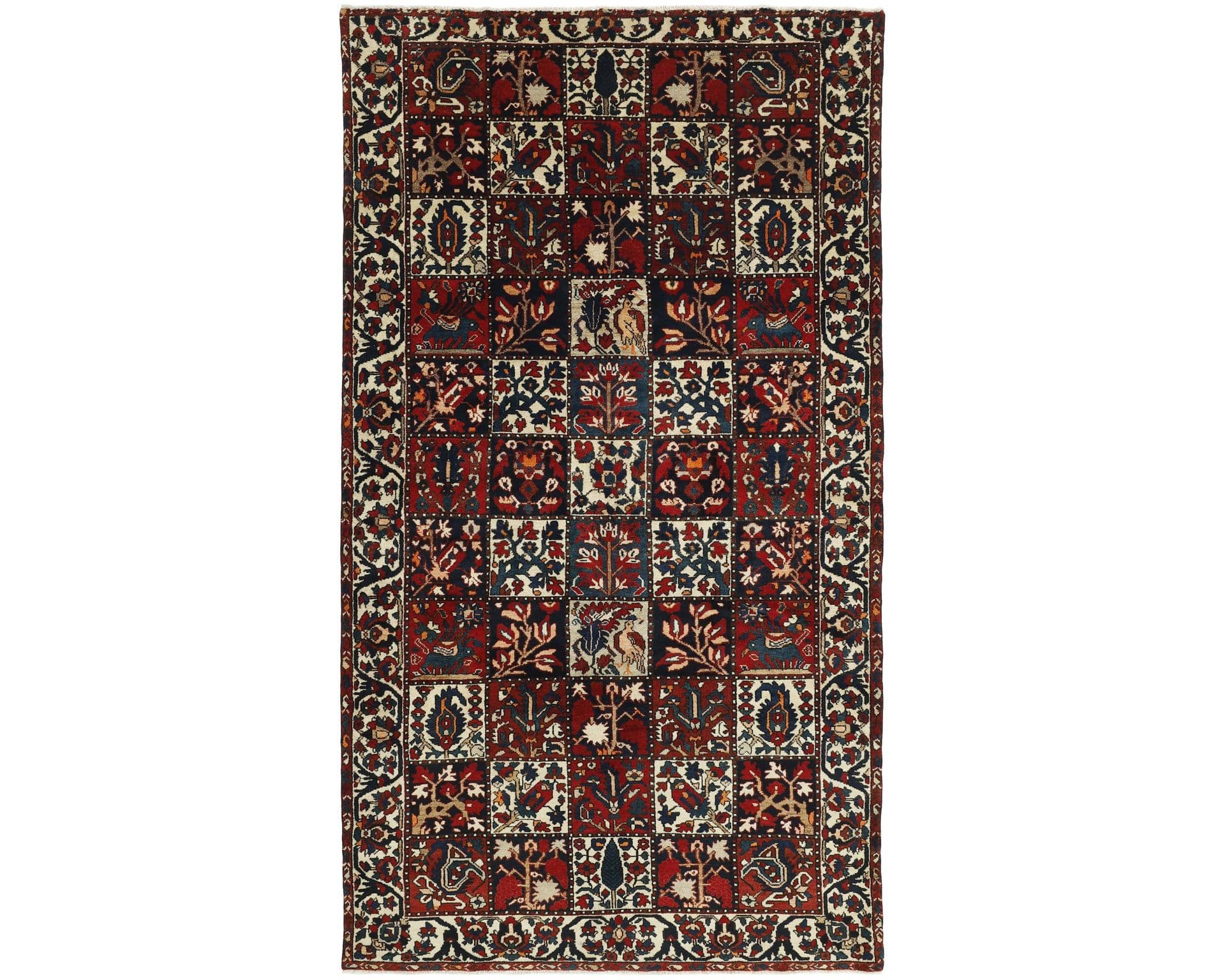 Bakhtiyar orientalisk matta 167 x 307 cm