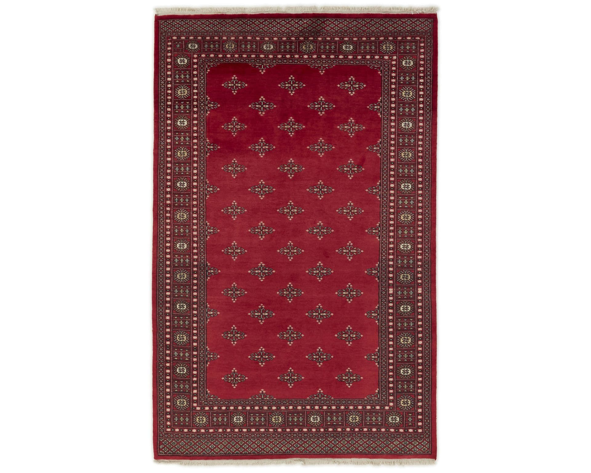 Pakistan handknotted orientalisk matta 169 x 266 cm