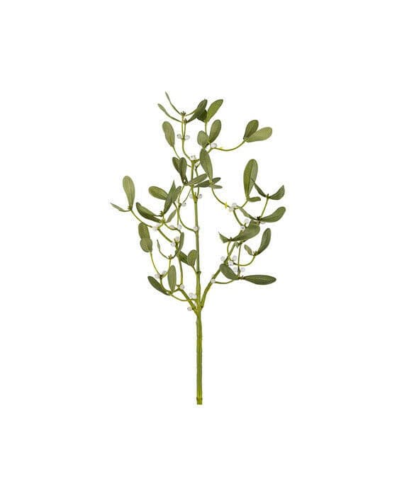 Mistel snittblomma grön