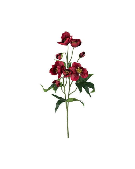 Julros snittblomma röd