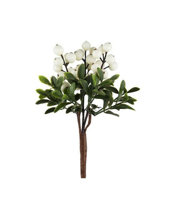 Julius bärkvist snittblomma vit