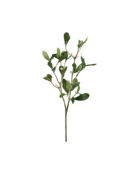 Mistel snittblomma grön