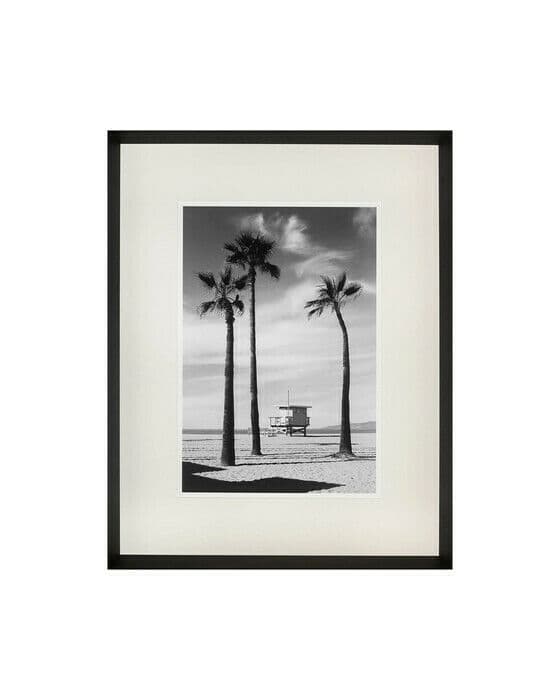 Palmtrees
