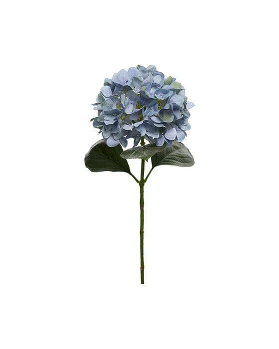 Hortensia snittblomma blå/grön