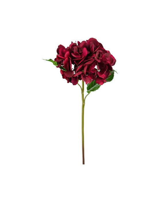 Hortensia snittblomma burgundy