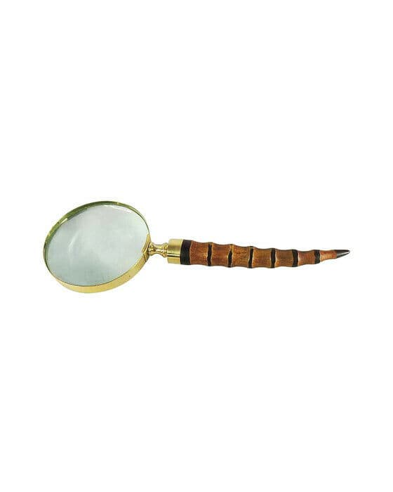 Horn förstoringsglas