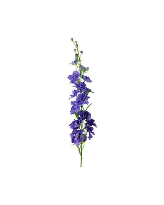 Delphinium snittblomma lila