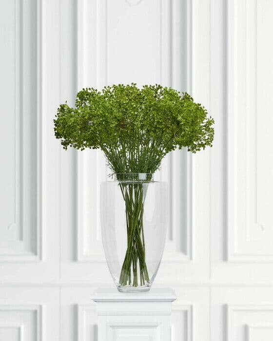 Allium snittblomma grön