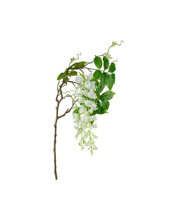 Visteria snittblomma vit