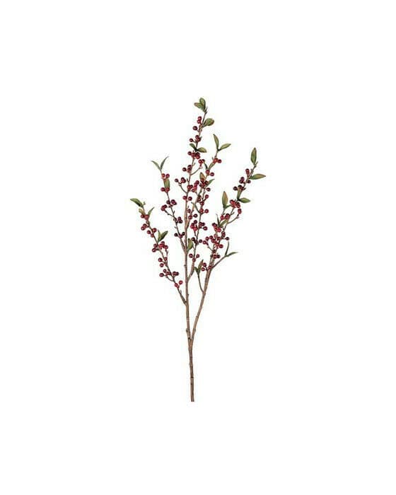 Bärkvist snittblomma röd