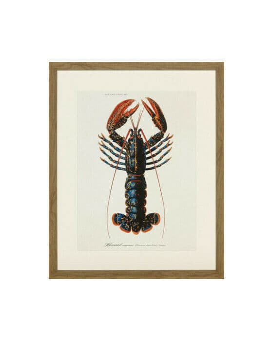 Lobster 2
