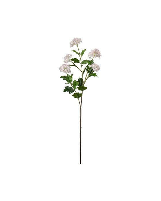 Olvon snittblomma vit