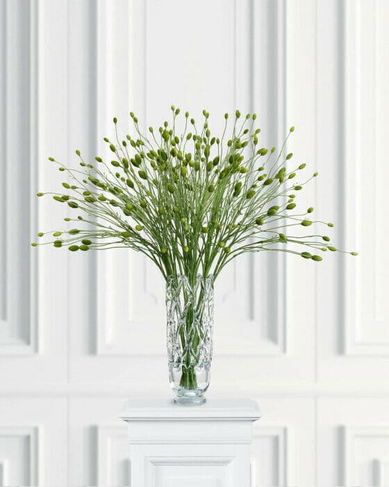 Pimpinell snittblomma grön