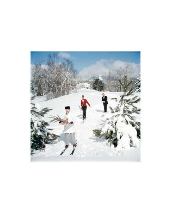 Skiing Waiters