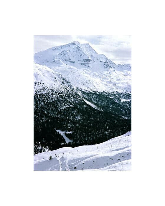 Ski Slope In St. Moritz