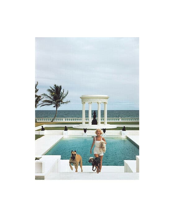 CZ"'s Dogs