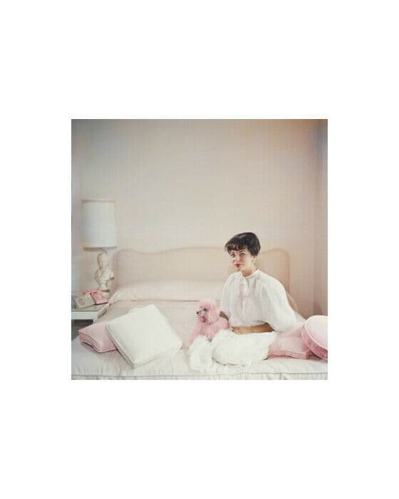 Pink Accessory