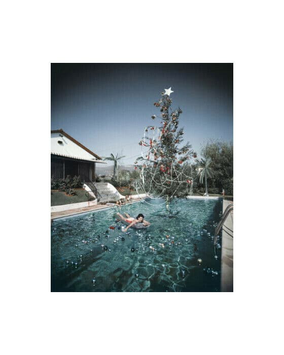 Christmas Swim